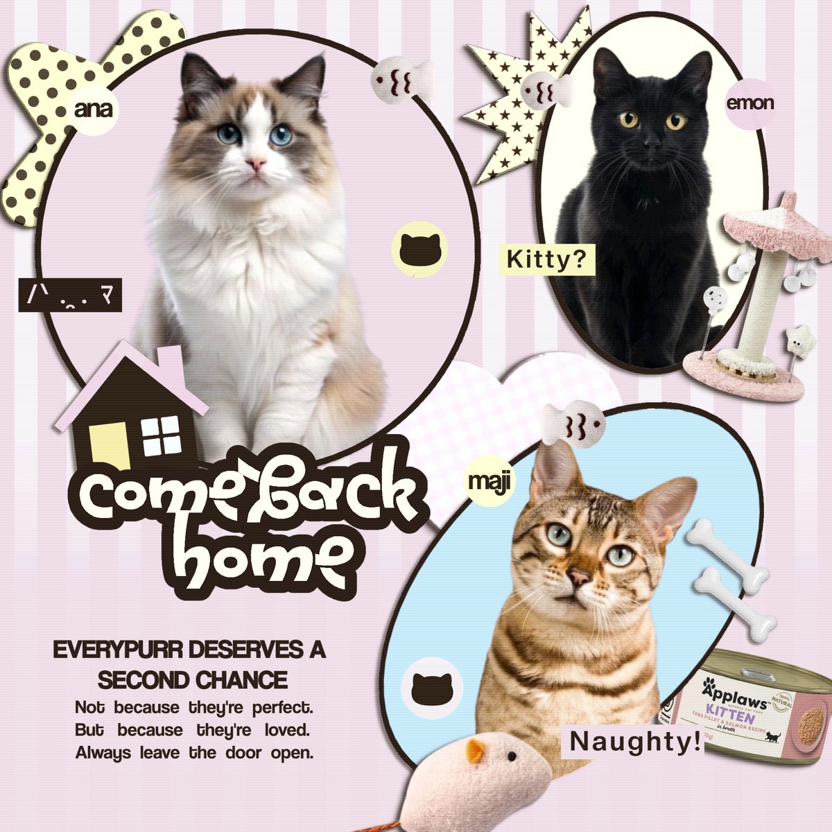 purrblemmaker's tweet photo. 𓃠₊˚⊹ Scratch, scratch… the little door is open! 🐾

Pspspsps… come closer, curious cats!Leave your paw print, bring the lovable chaos that makes you who you are, and find your way home before another cat steals the coziest spot. 🛋️ https://t.co/Ar7V3VUQbf