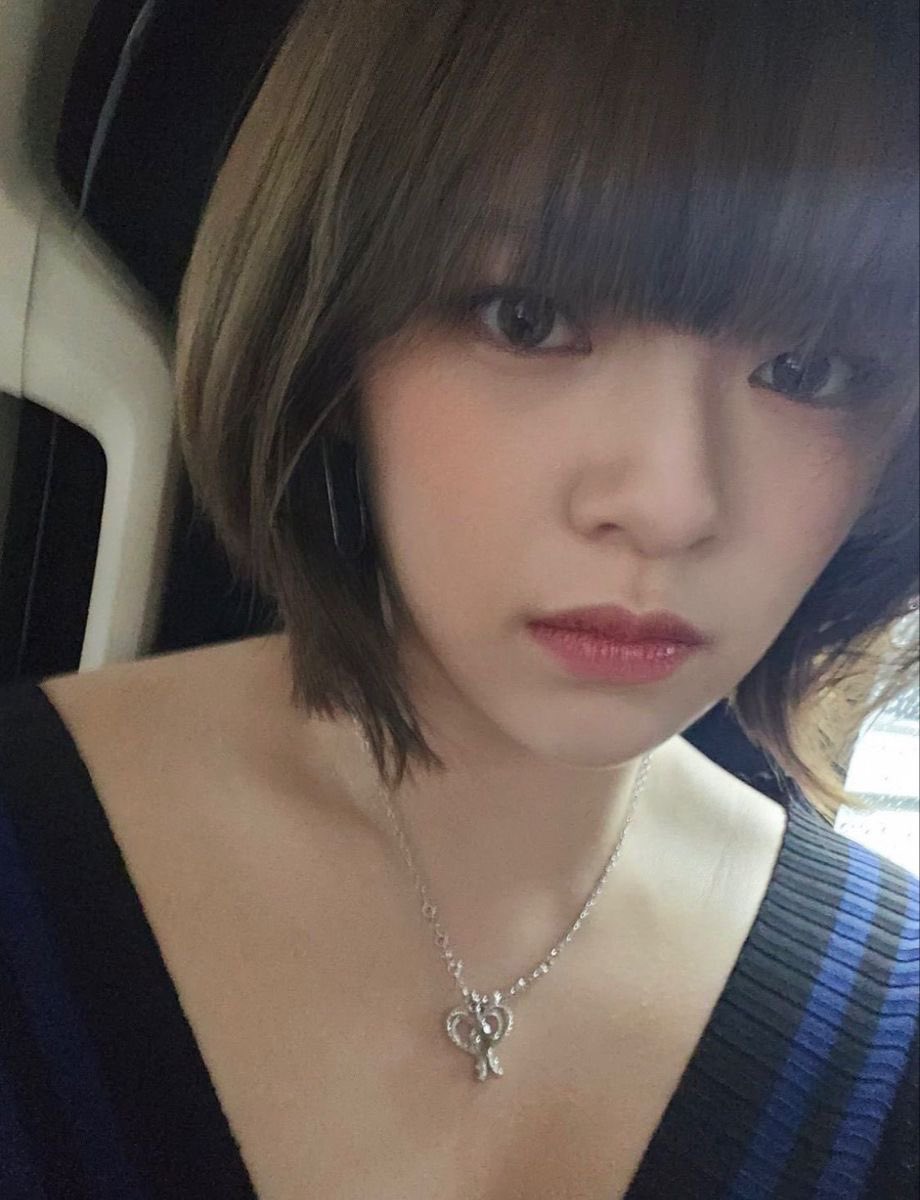 와글 tweet media
