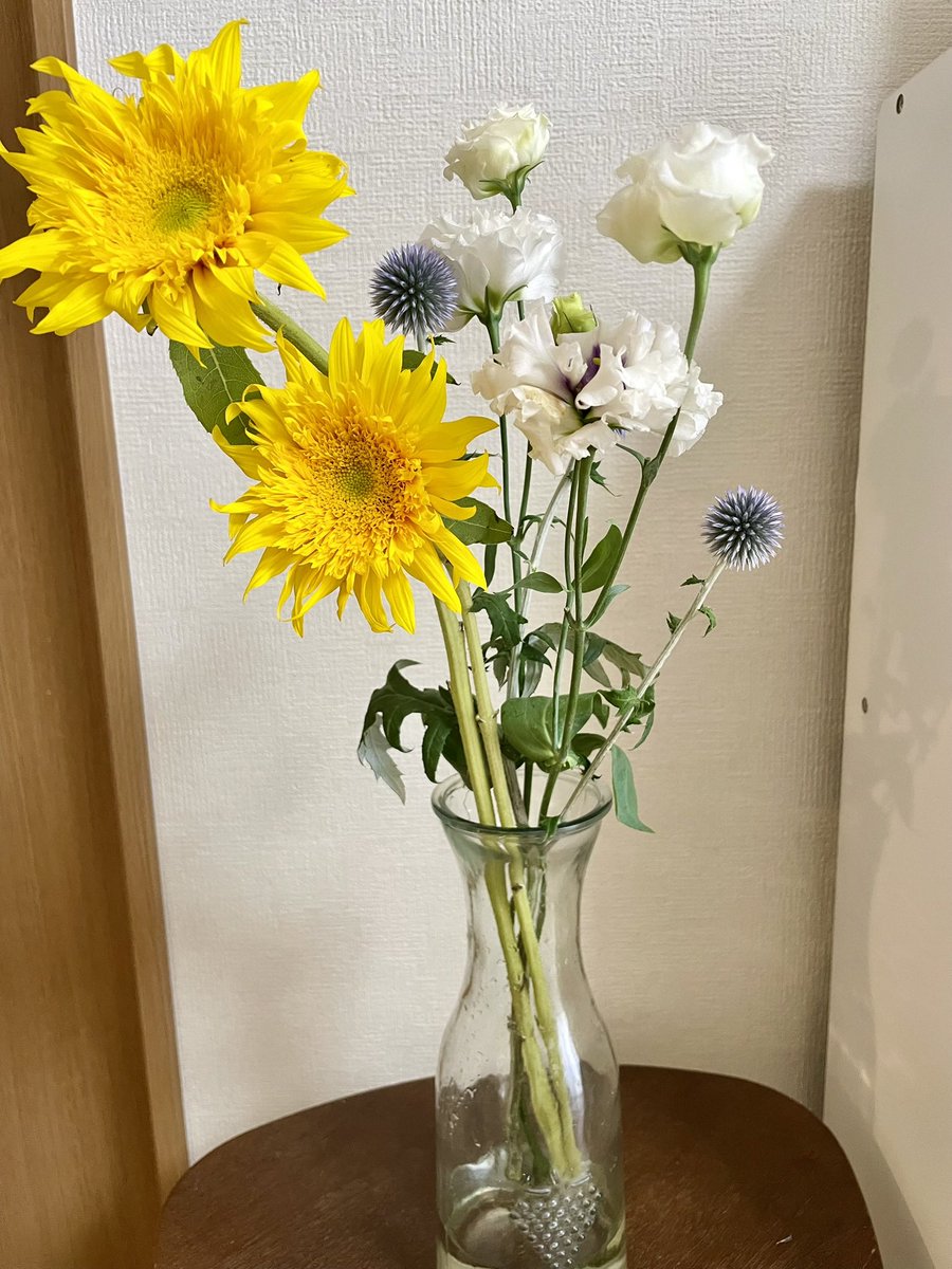ana_junko's tweet photo. 暑中お見舞い申し上げます

8月最初の月曜日
太宰府市も初めて酷暑日となりました…

熊本で被災された皆さんや
復興支援をされている皆さんのことを思うと…

少しでも癒しの時間ができますように…

わが家の可愛い子ちゃん全員集合の時間です

お花を買って募金をしました

#熊本
#買って応援
#募金 https://t.co/Qub7feNe8o