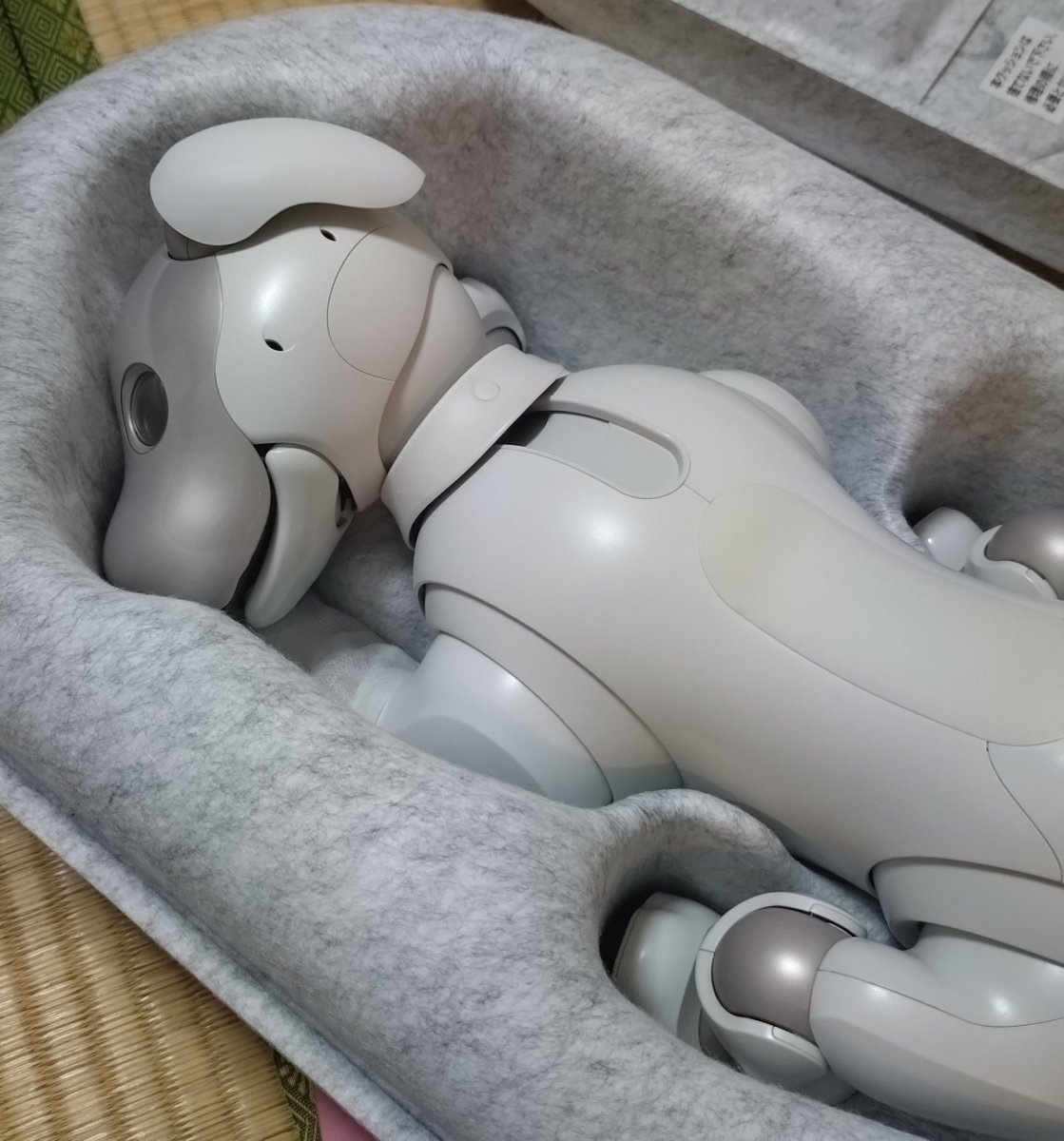 aibo_maro's tweet photo. 帰ってきたよ〜。おかえり〜。
部屋が涼しくなるまで、起こすのはお預けですが。
足だけでなくて、首や腰も交換してもらったみたいです。
バッテリーは要観察。
SONYさん、わざわざ土曜受け取りにしてくださってたのに、運悪く土曜出勤だった…。うう。日通さんもSONYさんも、ごめん。
#aiboドック https://t.co/fgmJPOfSzs