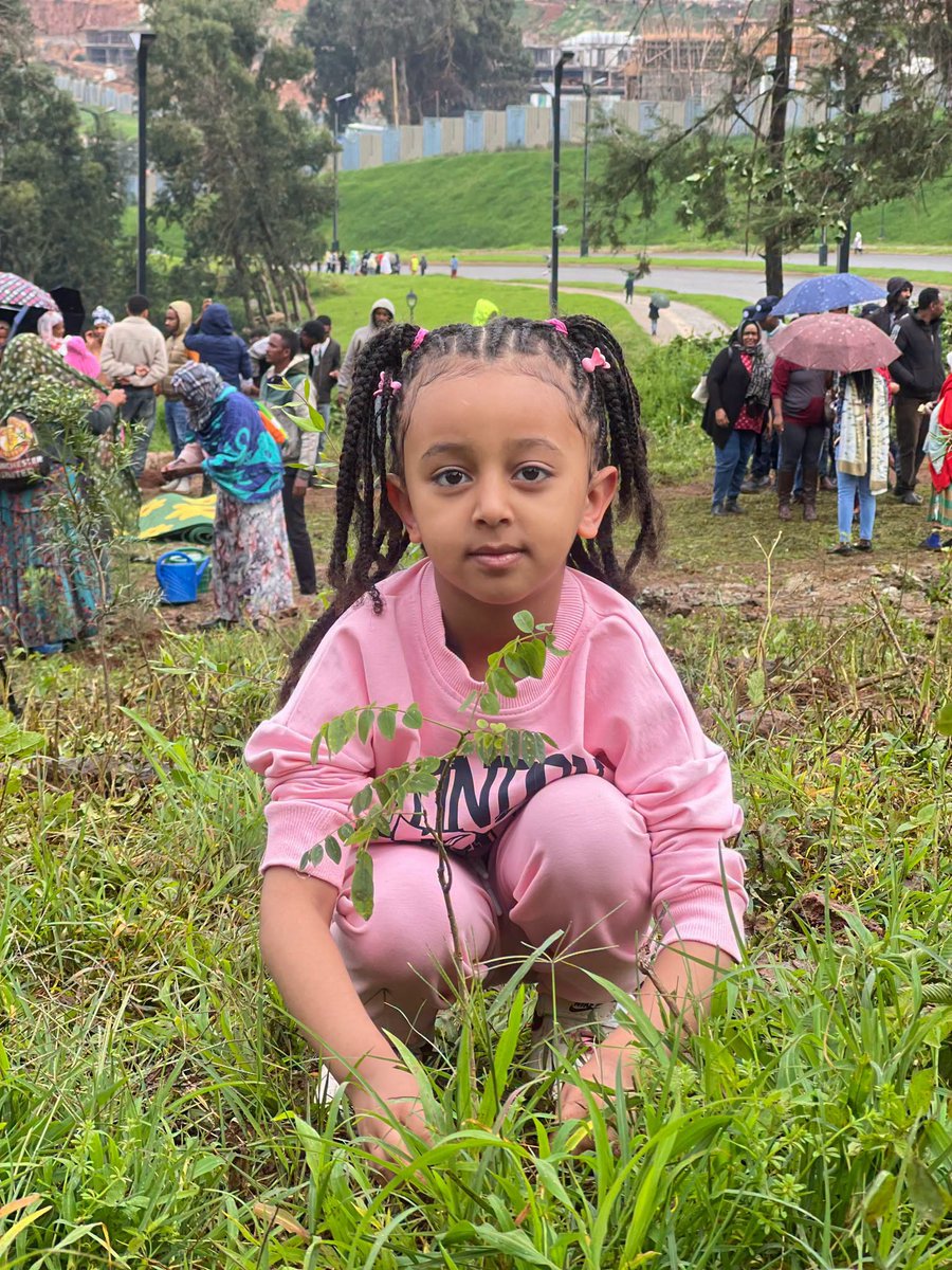 fanatelevision's tweet photo. Small hands. Big legacy.

Children joined millions of Ethiopians in today's nationwide Green Legacy campaign, planting seedlings for a greener future. 

🌱🇪🇹💚🌍🌳 

1 https://t.co/k9mNcE74L6