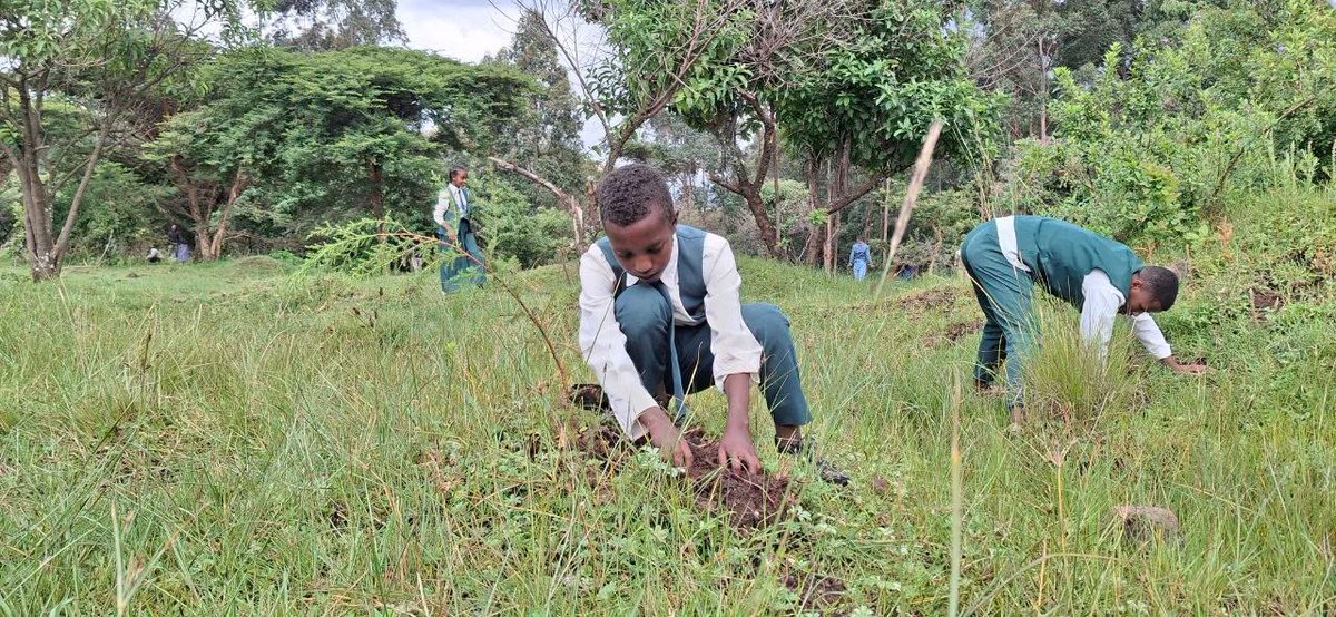 fanatelevision's tweet photo. Small hands. Big legacy.

Children joined millions of Ethiopians in today's nationwide Green Legacy campaign, planting seedlings for a greener future. 

🌱🇪🇹💚🌍🌳 

1 https://t.co/k9mNcE74L6