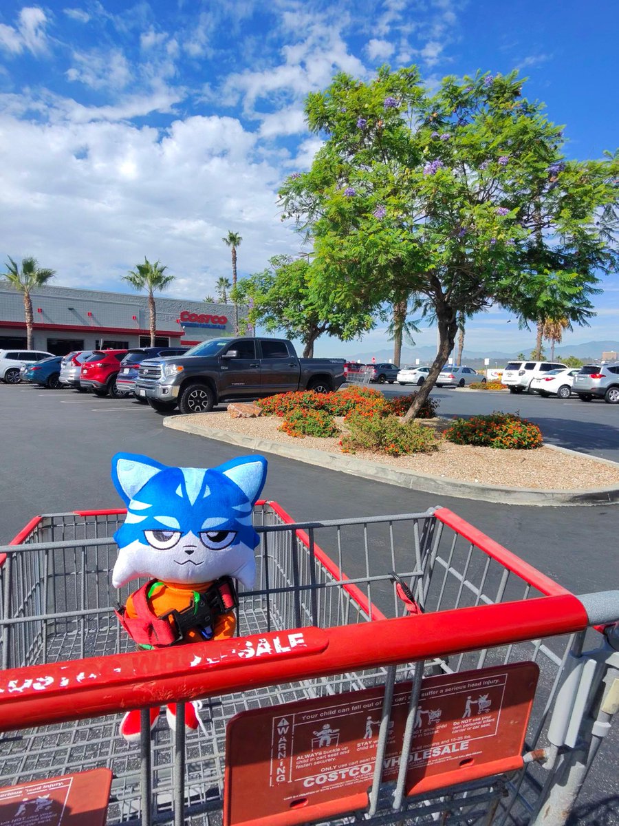 Toshi's tweet photo. Best item in the cart. https://t.co/lB2zsMwYLh