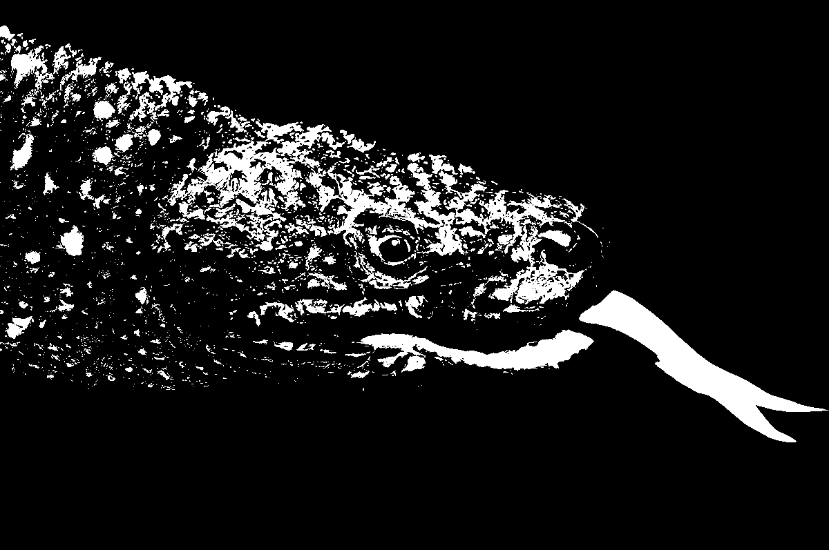 Velf_Design's tweet photo. Ink drawing | Academy project

This one ain't venomous don't worry hehe https://t.co/qD6K1HIL0J