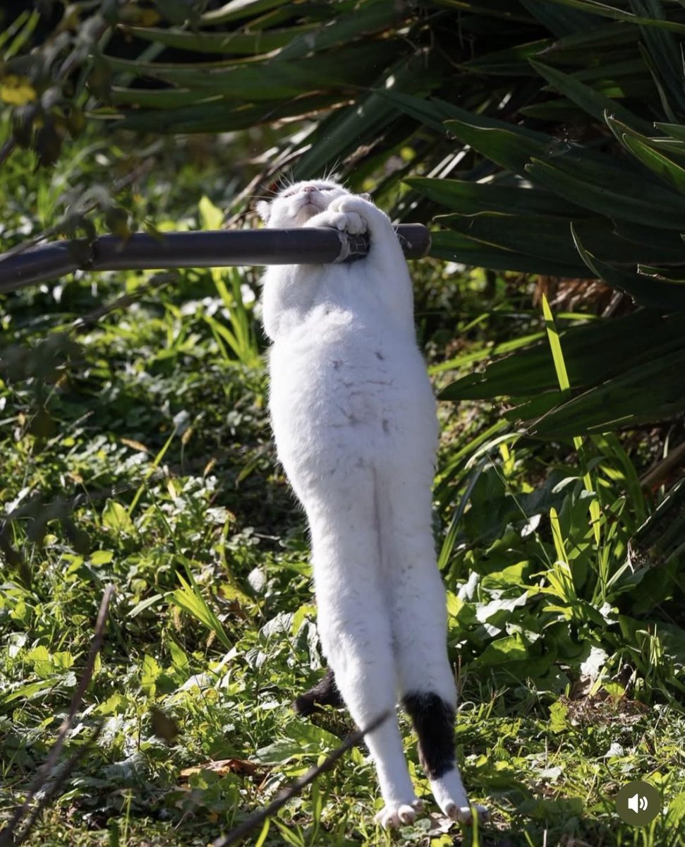 AMAZlNGNATURE tweet picture
