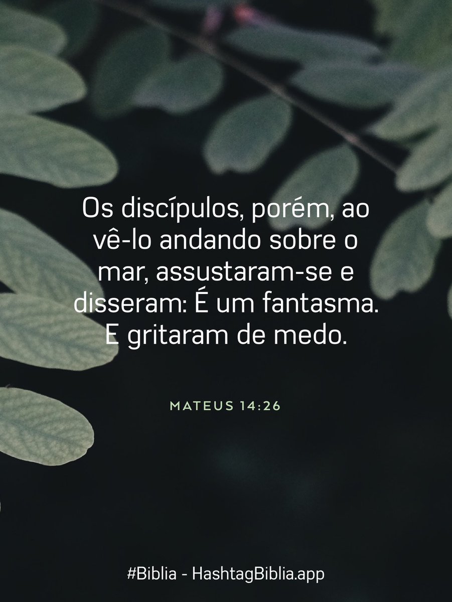 JoseMagazoni's tweet photo. #Biblia https://t.co/Qf8JC2j1cA https://t.co/TLjr8QAtms