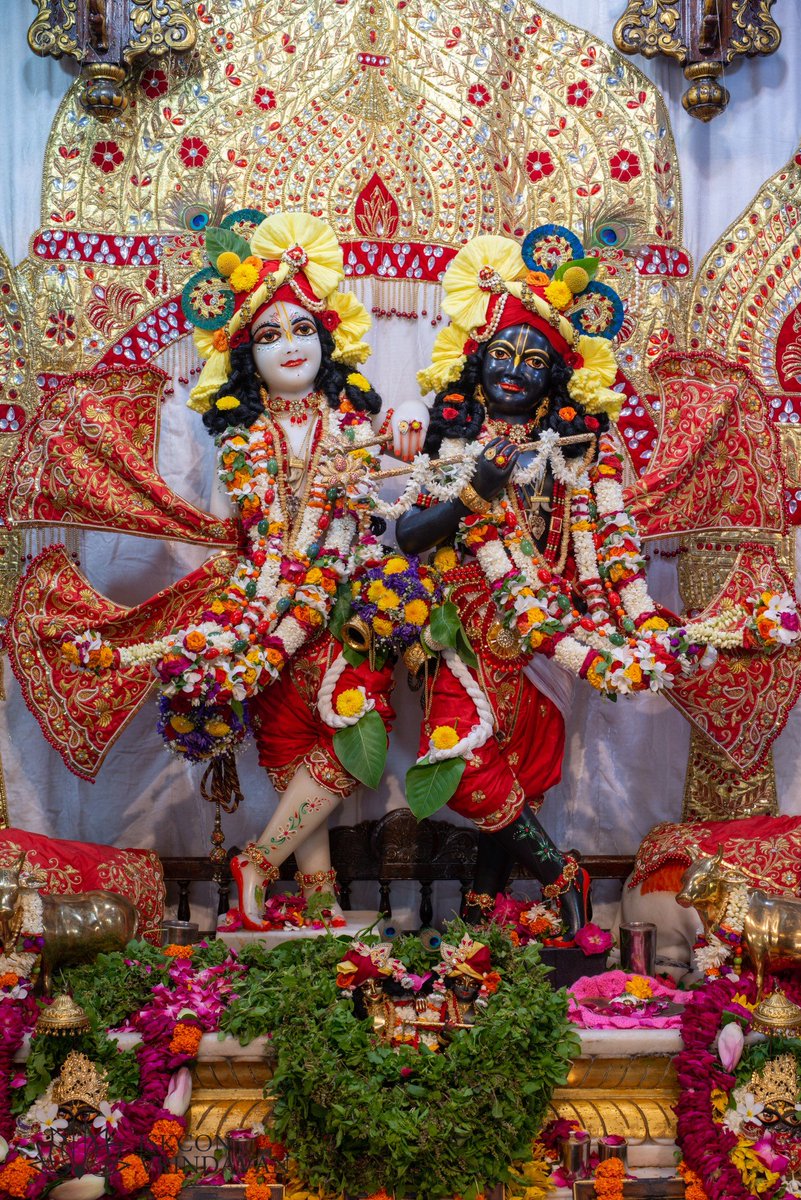 theholy_monk's tweet photo. Today's Singar Darshan 
ISKCON Temple Vrindavan 
Date: 03 Aug 2026

🎉✨🌿Krishna Balaram 🌿✨🎉 https://t.co/8WnGjcWmCZ