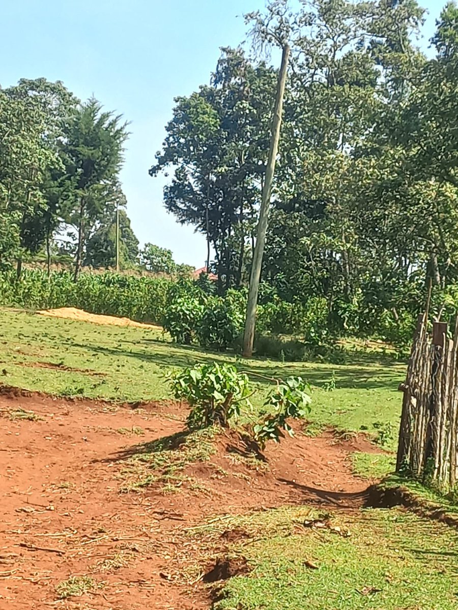cheilomoe's tweet photo. @KenyaPower_Care @KenyaPower @ntvkenya @citizentvkenya @kizito Village Kapngetuny  Laboret Kipkarren Selia Division. Nandi County.Mosop Constituency. 

Has been off the power supply from Sunday 19.7.2026 

What is the way forward? And current situation update? https://t.co/KFsf05yirF