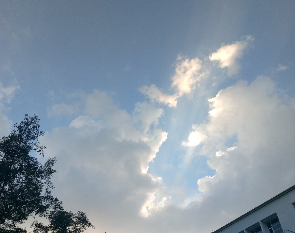 gulugililu's tweet photo. i wanna go homee https://t.co/casbSkoSlD