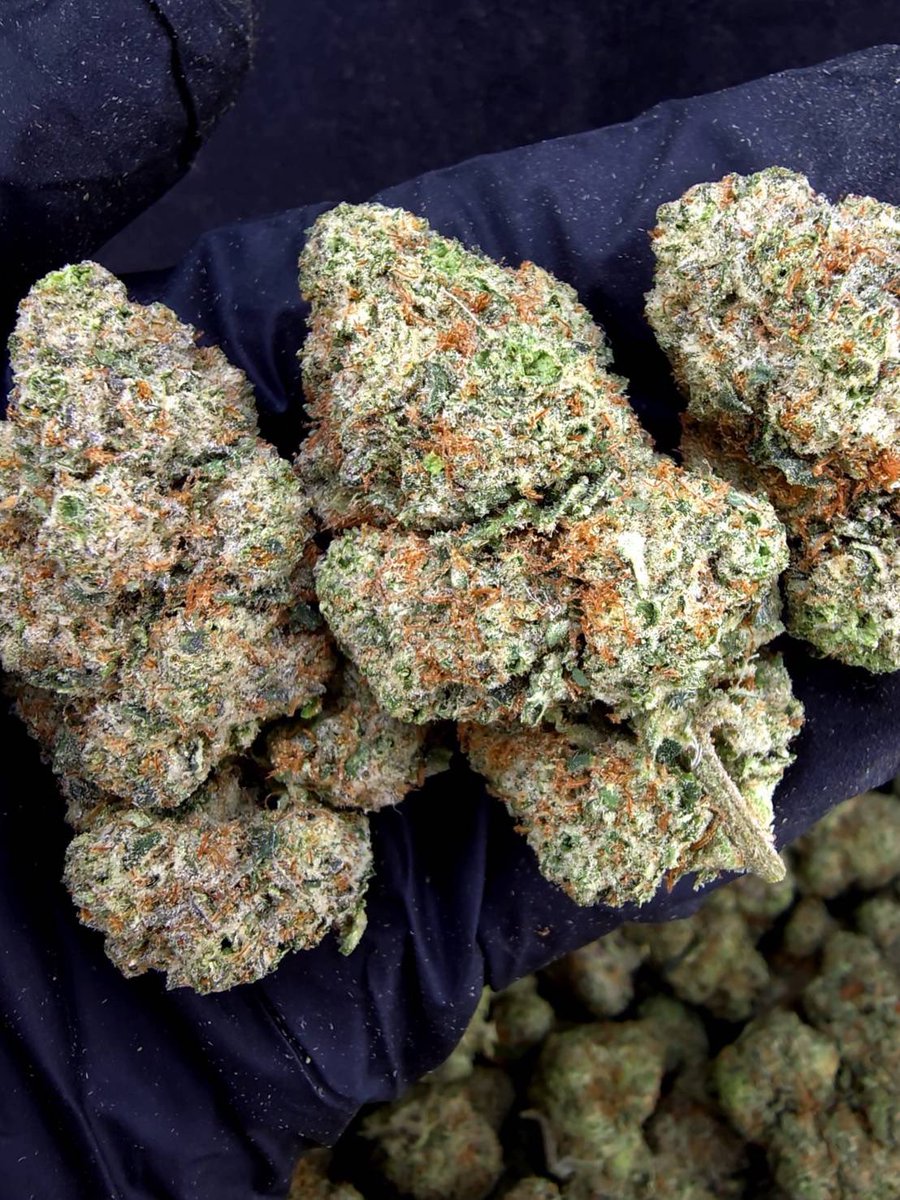 PPPP420DD's tweet photo. 🍇Blue Biscotti🫐
☀️Sativa20% 🌙Indica80%

Beautiful flowers, sweet fragrance🥝

🧺Order Here🏷️ https://t.co/oywkszuqlw

#กัญชา #กัญชาog #กัญชารังสิต https://t.co/BxVtX5Dshr