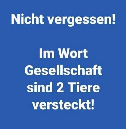 hans_klingen's tweet photo. https://t.co/3vI7jNYlva