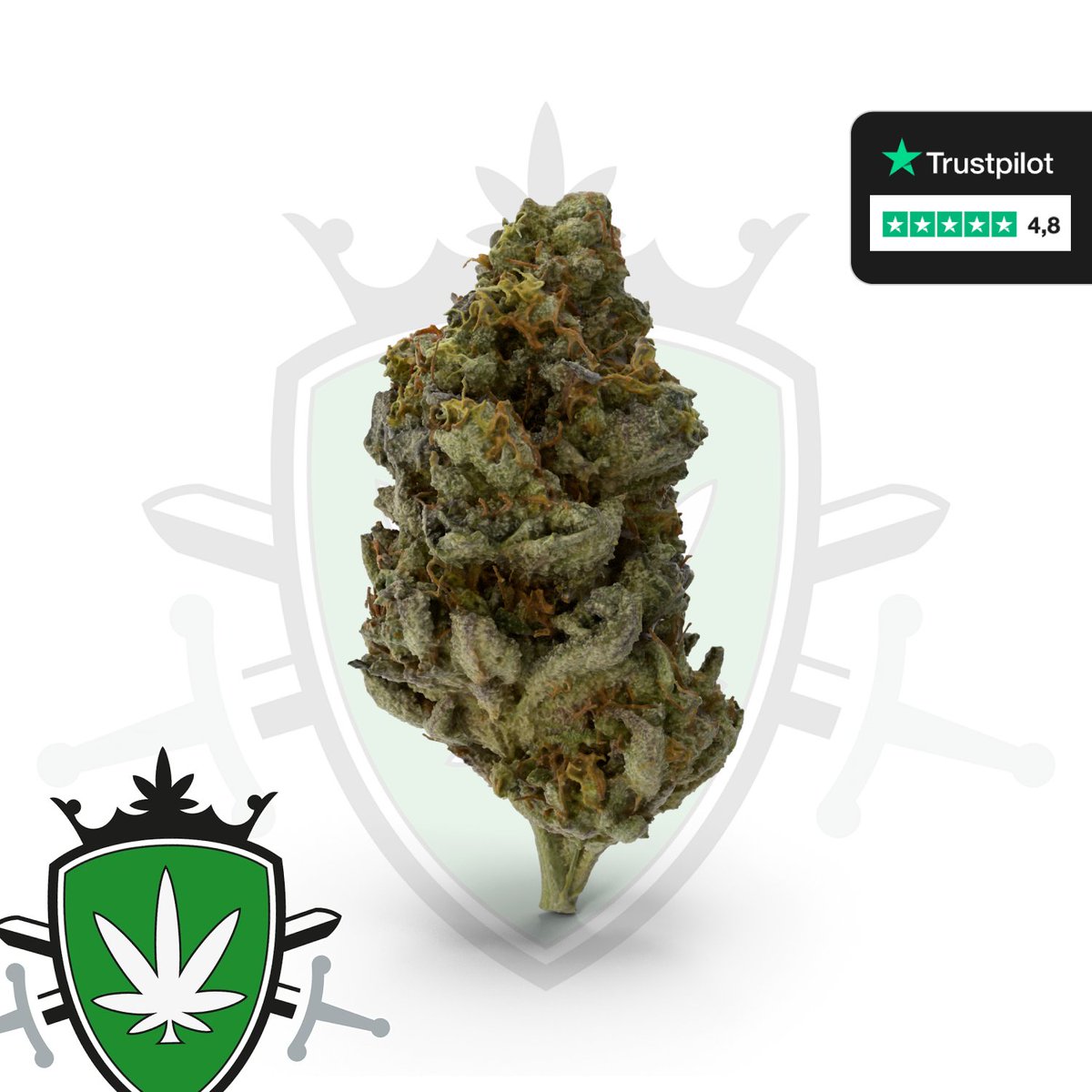 CBDkoning2nd's tweet photo. CBD specialist van Nederland π
Sinds 2019 actief
Meer dan 40 soorten π±
Check de bio β
#CBDKoning #KoningCBD #zomergasten #SummerSlam
#Haarlem #Leiden #Sport https://t.co/QGt3IMDNa6