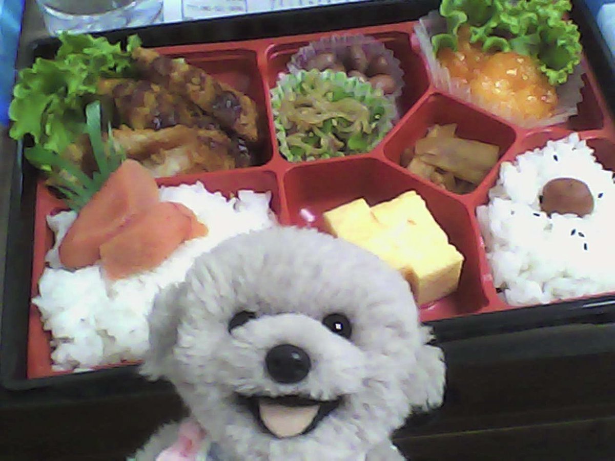 ShibaNori914's tweet photo. 昨日わくちゃんがトイカメラで撮ってくれたもの！
味があって素敵すぎる〜☺️💭
#芝崎典子と和久井優がYATTEKURU https://t.co/khF3kYzlrq
