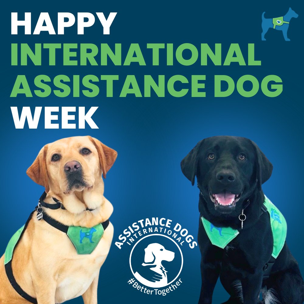 dogsbetterlives's tweet photo. Happy #InternationalAssistanceDogsWeek!
We're celebrating the impact Assistance Dogs have every day. They bring greater independence, confidence, and connection to the people they serve.
As a proud member of ADIntl, we're honored to help create these incredible partnerships. https://t.co/SqizOhNuct