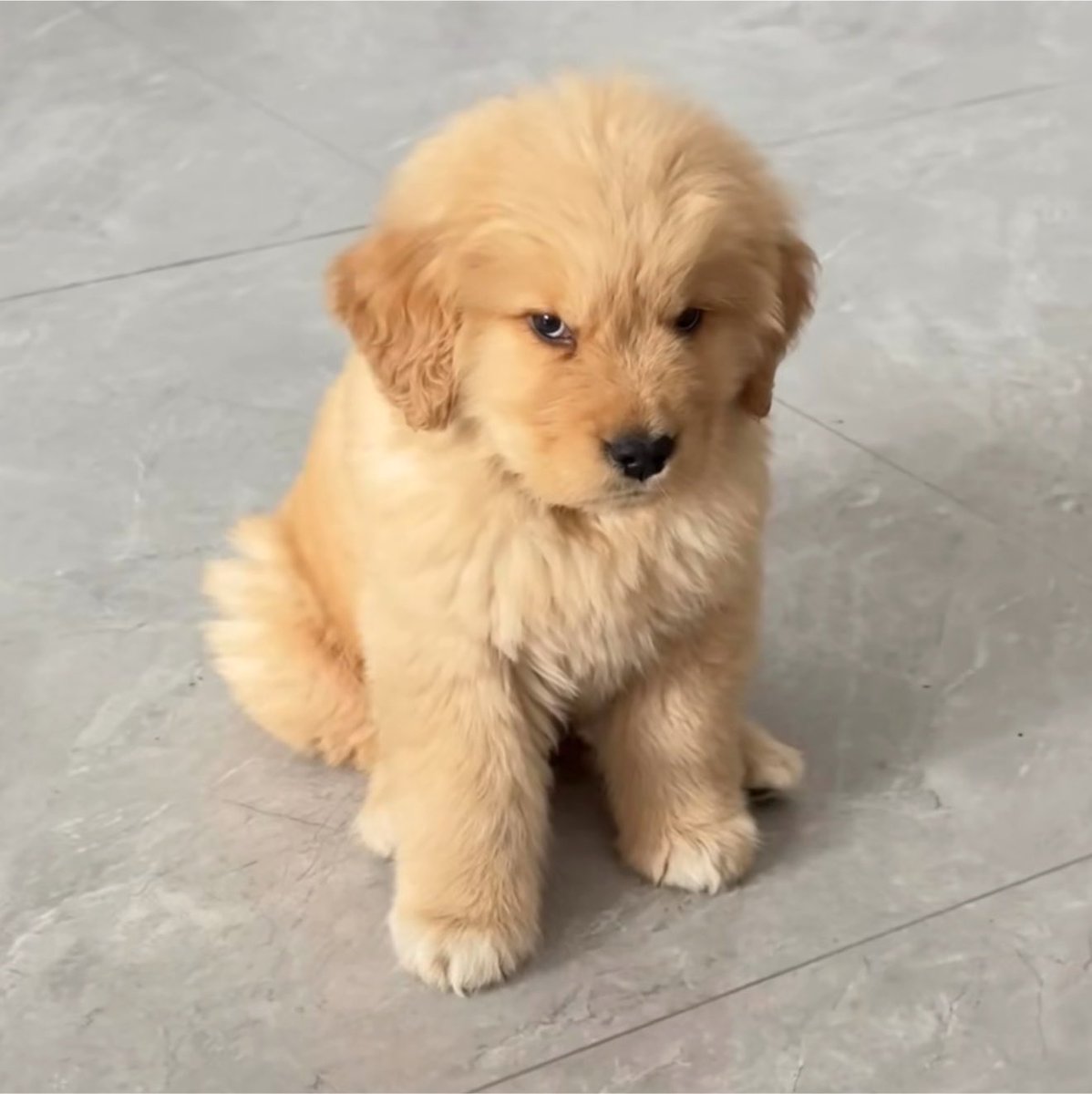 takemybear's tweet photo. อ้วนโกดเค้าป่าว

ไม่หนิ (รุได้ไง) https://t.co/xv25cBXIAK