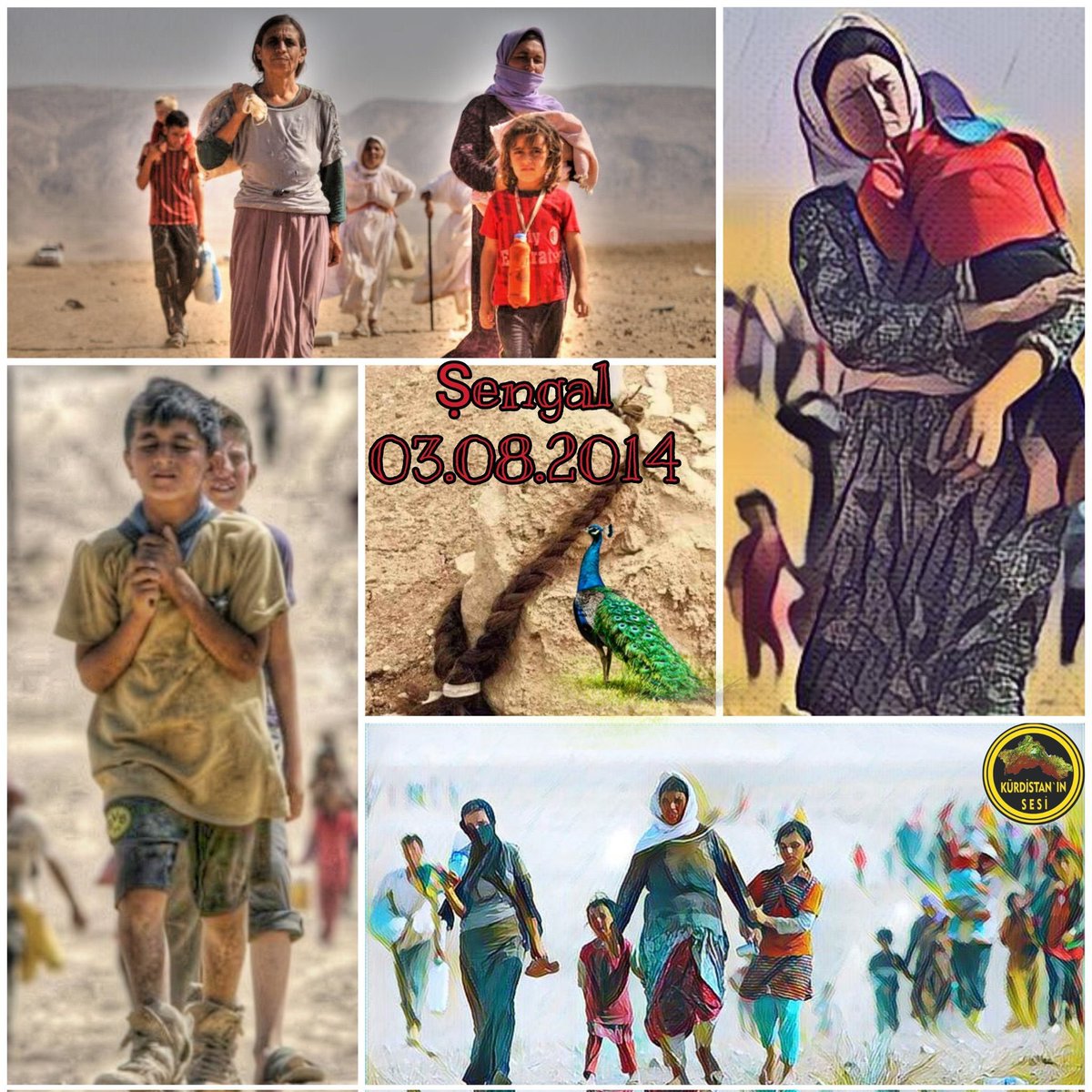 enginterim's tweet photo. Birîna bê derman, Komkujîya Şengalê..

#ŞengalKatliamı
#KomkujîyaŞengalê https://t.co/PP7kk3bzlh
