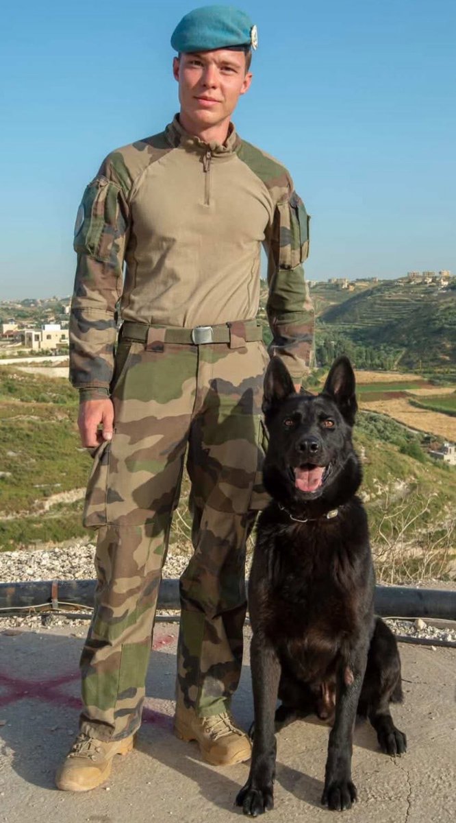 Fs_francaises_'s tweet photo. J’ai une pensée particulière pour le caporal-chef Anicet Girardin du 132e régiment d'infanterie cynotechnique.

Violemment pris à partie le 18 avril par des tirs nourris de combattants du Hezbollah embusqués à très courte distance, il portait secours à son chef d’élément, qui venait de tomber, lorsqu’il fut à son tour grièvement touché. Il succomba à ses blessures le le 22 avril.

En moins d’un an, le 132e régiment d’infanterie cynotechnique a perdu deux des siens.

Ne jamais oublier. 🖤