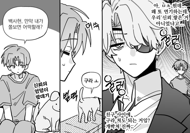 댕댕이 tweet media