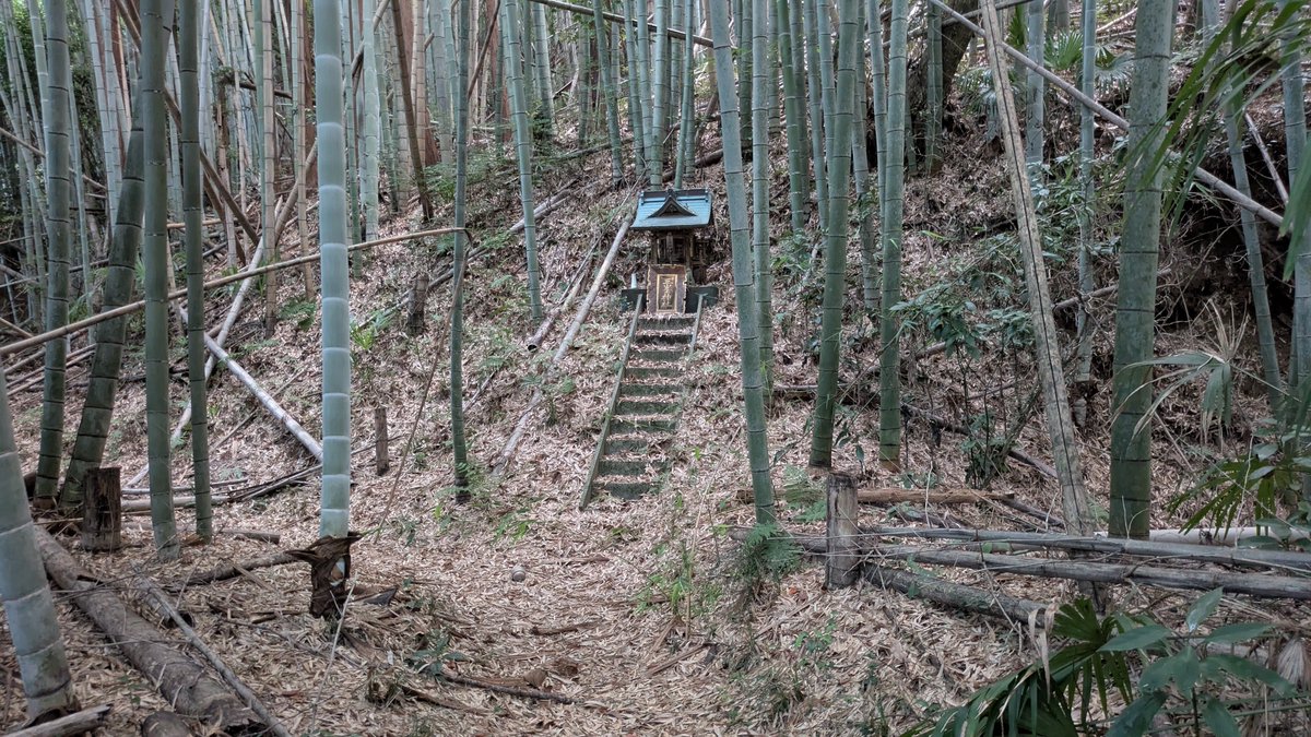 t_ranta's tweet photo. 今日は千葉市緑区の小山城を訪れました。小山町の熊野神社が城域とされ、遺構が残ってる様な記述を見た為です。
参道の登り道脇に腰曲輪状地形が二筋見え、参道を登りきった先は平場となっていますが、荒廃著しく郭跡かの判断し難い所です。
来歴は不詳ですが、大椎城の防御施設と見る向きがあります。 https://t.co/Gy6JtPykr4