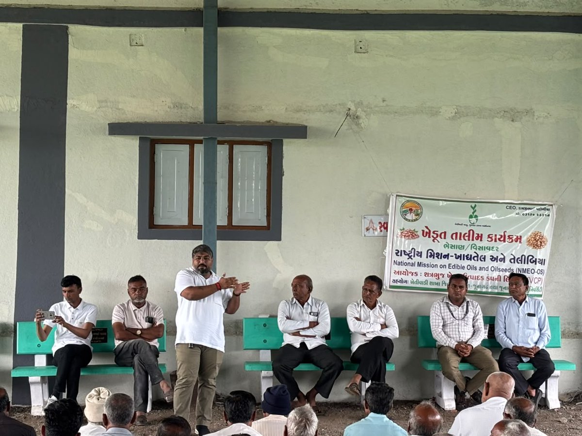 jdaextjnd's tweet photo. NMEO -OS યોજના અંતર્ગત તાલીમ ઘટક હેઠળ જૂનાગઢ જિલ્લામાં શત્રભુજ VCP દ્વારા ભેસાણ તાલુકામાં ખેડૂત તાલીમનું આયોજન કરવામાં આવેલ. જેમાં જૂનાગઢ કૃષિ યુનિવર્સિટીના વૈજ્ઞાનિકશ્રી દ્વારા ખેડૂતોને માહિતગાર કરવામાં આવેલ. https://t.co/pSQB9H8khi