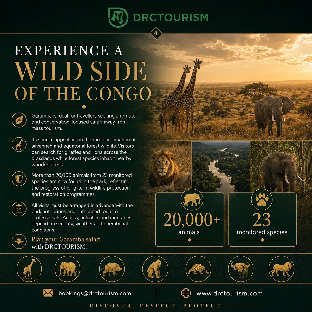 congoconnect360 tweet picture