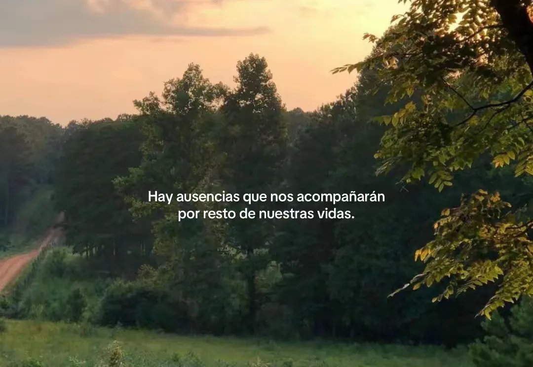 RincnCuriosoo's tweet photo. 🍃 https://t.co/RIYzIskW6A