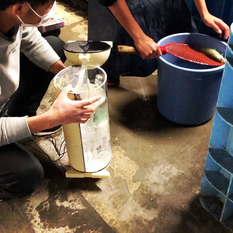 Blazethecurious's tweet photo. DID YOU KNOW??

A Japanese manufacturer created a futuristic, portable hand-held fish tank called the Katsugyo Bag, a clear, tube-shaped luxury briefcase designed specifically to let people take their live pet fish out for a walk or carry live fish home fresh from the market.

​Developed by MAA-WORKS, the device was designed to look like something straight out of a sci-fi movie while offering a high-tech portable habitat for marine life. Walk with me 👇🏾👇🏾 

1. How a Portable Fish Suitcase Works:
​The word katsugyo (活魚) translates to "live fish." Rather than transporting a fish in a flimsy, unstable plastic bag from a pet store or market, the Katsugyo Bag provides a full life-support system.

A. ​Integrated Oxygen Pump: The capsule features a battery-powered oxygenation system that keeps the water continuously aerated so the fish can breathe comfortably.

B. Real-time Pressure Gauge: It has a built-in pressure/oxygen meter mounted right next to the handle, allowing the owner to monitor oxygen levels while walking down the street.

C. ​Easy Loading: The clear cylinder splits open or unlatches at the end, making it easy to drop in a fish, add water, and carry it around like a designer handbag.

2. Two Unexpected Uses Pet Walks vs. Fresh Sashimi:
​The creators developed the concept with two distinct audiences in mind:

- ​Pet Lovers: Aquarium enthusiasts who want a safe way to transport valuable ornamental fish (like prized goldfish or small saltwater fish) to the vet or simply show them off on a stroll.

- ​Foodies: Culinary enthusiasts in Japan who buy live fish at markets and want to transport them home in peak condition to prepare the freshest possible sashimi.

​FINALLY! 
​The Katsugyo Bag turned the simple act of carrying a fish home into a high-tech fashion statement. Combining sleek industrial design with life-support technology, it gave "taking the dog for a walk" a whole new aquatic rival, it certainly looks wierd though 😅.

Hopefully you've learnt something new today?

The Medic Who Writes™🌚

Cheers 🥂 😅