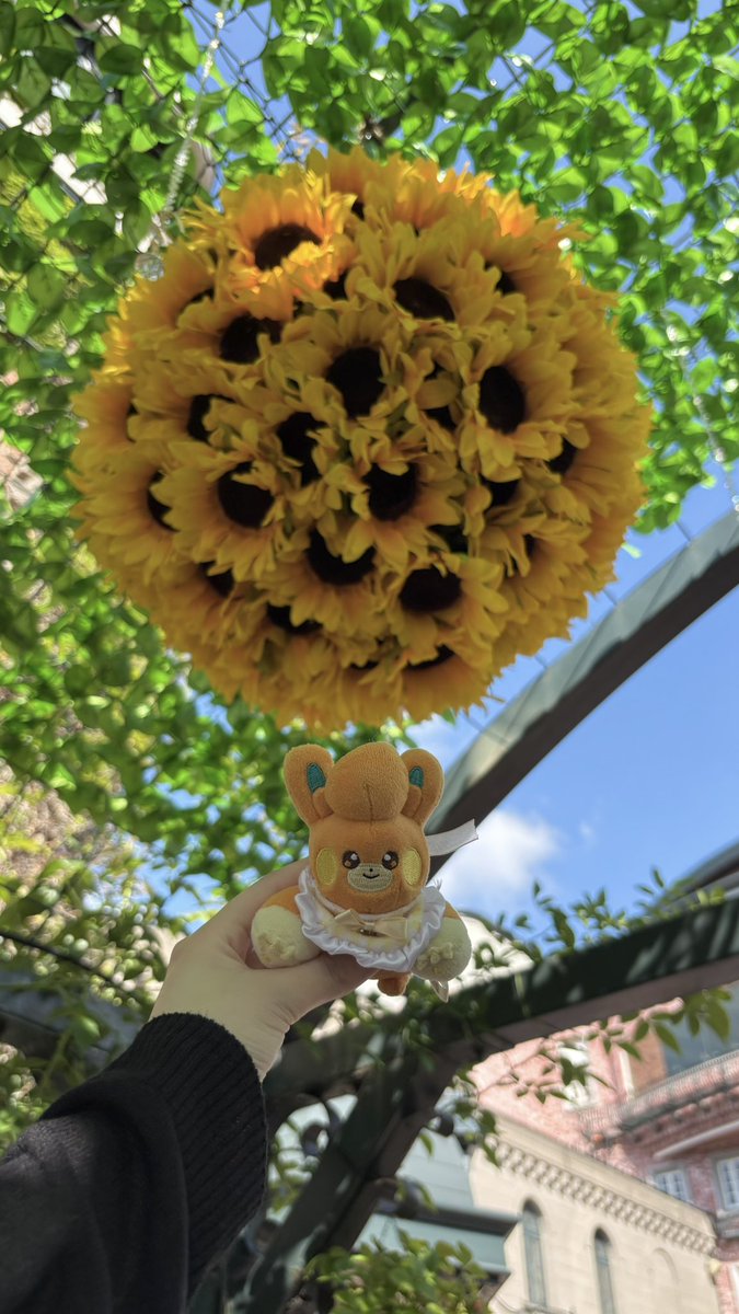 ouchidegamesuru's tweet photo. ﾊﾟﾓちゃんの元気玉 https://t.co/9IHDUd13fb