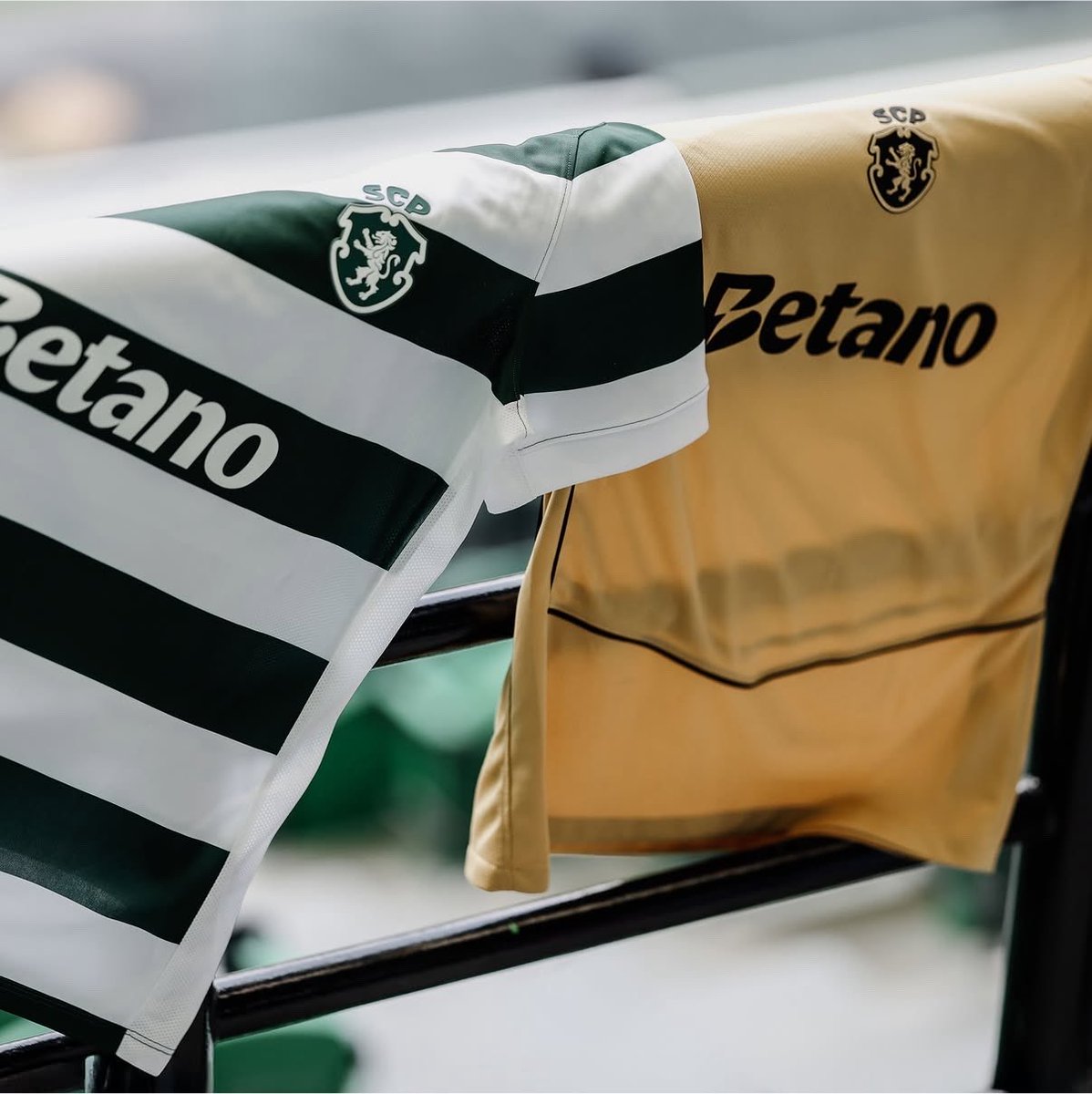 Sporting_CPAdep's tweet photo. 🚨 SPORTING CP ANUNCIA MÊS RECORD DE RECEITAS EM MERCHANDISING.

Em comunicação aos sócios através de e-mail, foi revelado que o mês de julho ultrapassou os 4 milhões de euros:

“É com enorme satisfação que te informamos que o nosso primeiro mês dos 120 anos foi o melhor mês de sempre de receita de merchandising do Sporting Clube de Portugal. 

Um Julho que marcou a apresentação da nossa nova identidade e das nossas três novas peles. É um Julho de recordes, que fica na história como o melhor registo de vendas de sempre, superando os €4 milhões. 

Esta é, acima de tudo, uma partilha de agradecimento a todos os Sócios e adeptos, e por isso só temos uma coisa a dizer-te, e não cabe em números: obrigado! 

Obrigado por vestires e por viveres sempre esta camisola. 

E sim, ainda estamos na pré-época.”