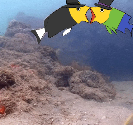 Oschanoa's tweet photo. these guys gotta die #robloxconstruction #constructionroblox https://t.co/pRVHMs1irj