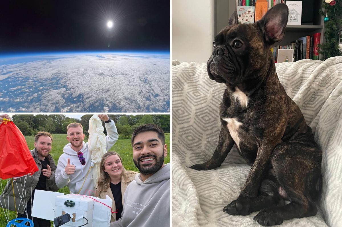 Grieving pet dad launches dog's ashes and his beloved alien toy 119,000 feet into space https://t.co/QIzkVbaJva