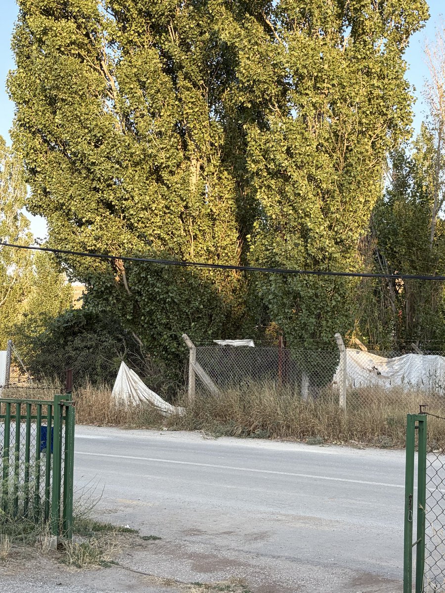 3mr3orhn's tweet photo. @TurkTelekom Yetkili arkadaşlar türktelekomun elektrik direklerini kullanma yetkisi varmı neden kopan kabloyu ben bağlıyorum neden hala tahta direkten geliyor neden ben düzgün hizmet alamıyorum neden bir gündür internetim yok reklama para var 5g ye geçtik şöyle yaptık hizmet nerede ??? https://t.co/HhUHNhftlW