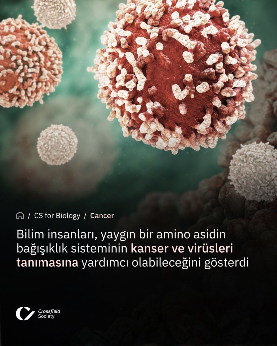 CSBIOTurkiye's tweet photo. Bilim insanları, arginin adlı yaygın bir amino asidin bağışıklık sisteminin kanser hücreleri ve virüsleri tanımasına yardımcı olabileceğini gösterdi. #Kanser #BağışıklıkSistemi #Bilim https://t.co/nmAH5dRMgE