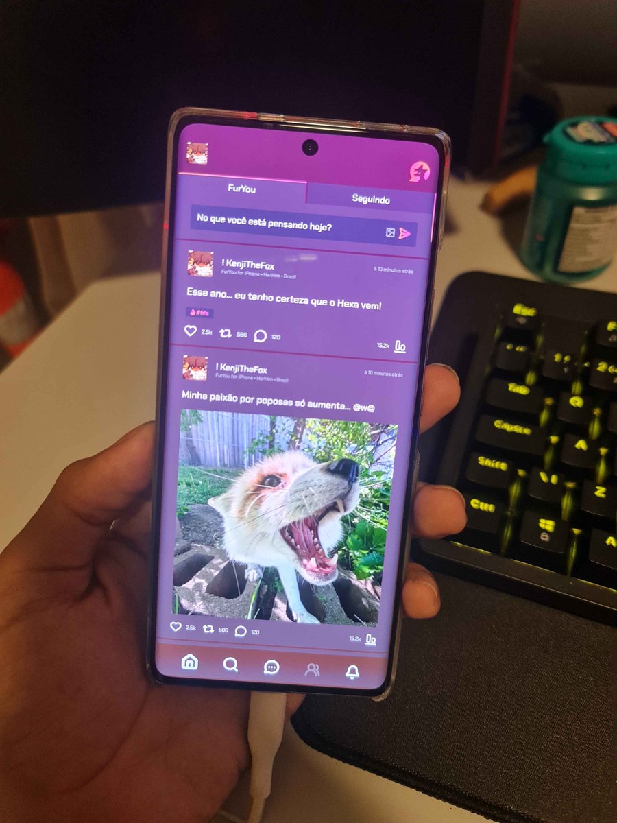 nextfur_'s tweet photo. Haiiiiii - i'm alive in your phone OwO https://t.co/aP3pf6jW4K