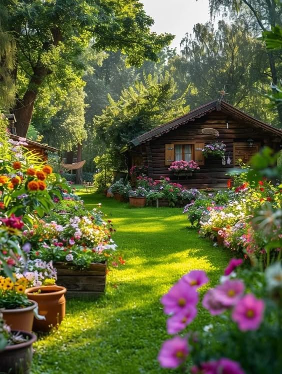 Nature With Vikash tweet media
