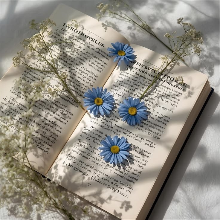 nicobookt's tweet photo. 𓇢𓆸 ─────────── 𓆸𓇢
livros lidos em 2026 https://t.co/K1NEmj4c2x