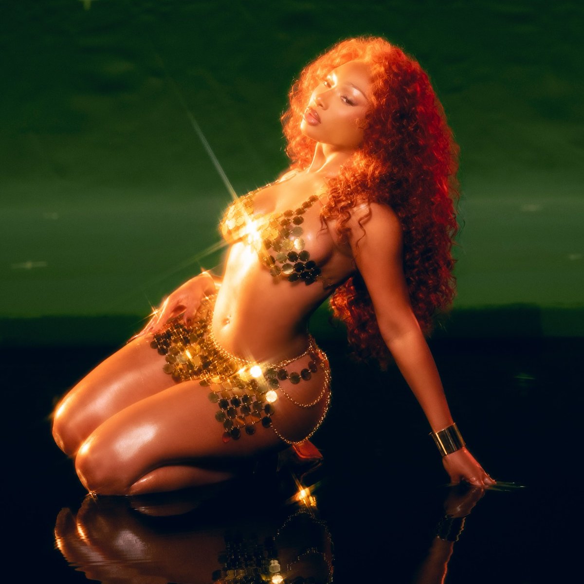 chartdata's tweet photo. Megan Thee Stallion earns her first ever @RIAA Diamond single with "WAP". https://t.co/pFfGjFiHg3