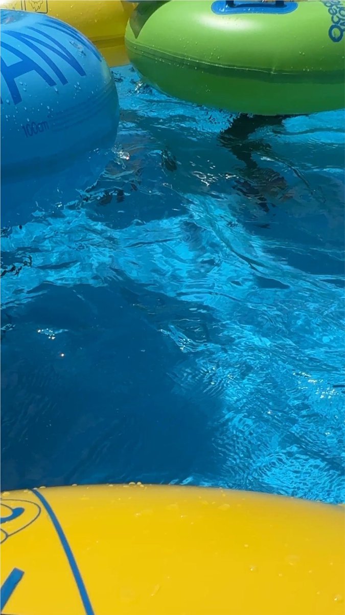 mys2tar's tweet photo. 또하자우리제발…💧💧 https://t.co/vqnRt5HfbD