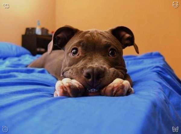 gredgate's tweet photo. We have the power to discover happiness in life's little treasures, to relish the comfort, and to welcome the peace. Lift up a weary soul.⛳