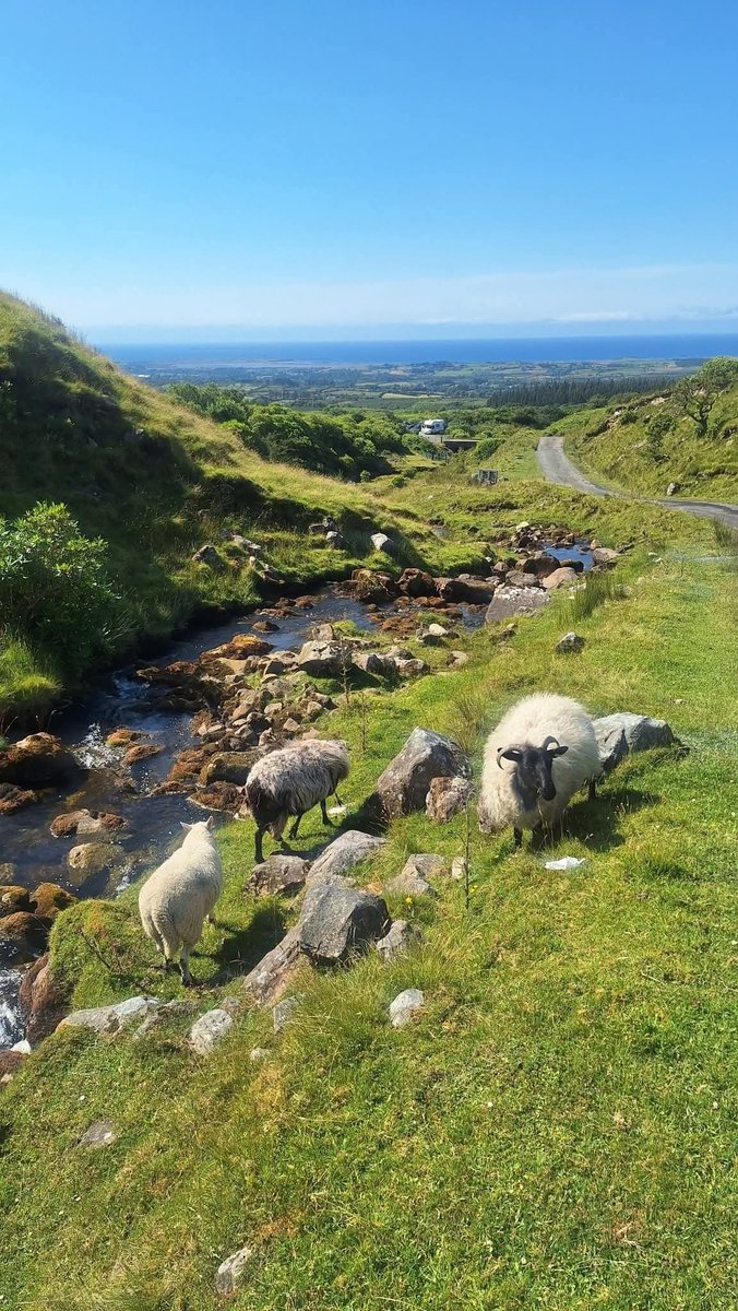 ThisIsIreland3's tweet photo. 📍Beautiful scenery on Benbulbin, County Sligo - Ireland 🇮🇪

Whether you're visiting for the first time or you've been there a hundred times, Sligo always has something special that keeps you coming back 🏞️💚

📸 Billy Hanly

#Sligo #Benbulbin #Ireland #Views https://t.co/T0rqo47o7b