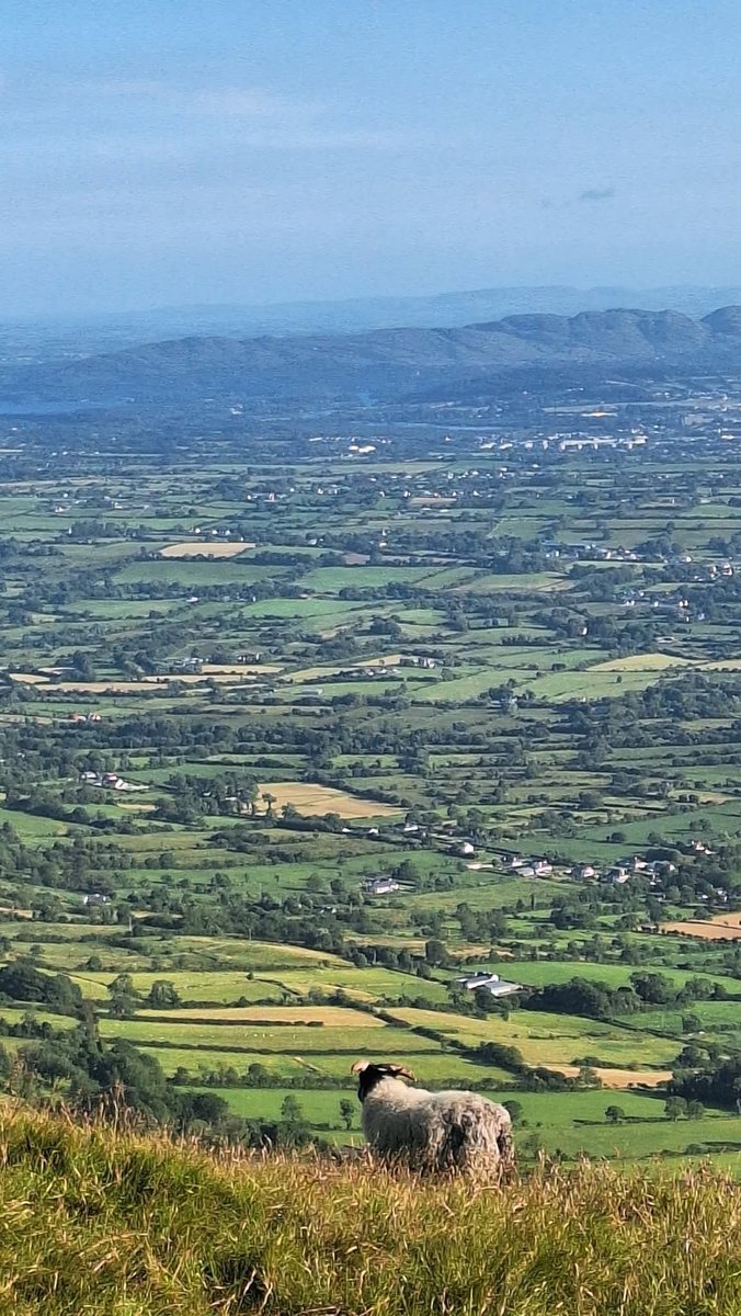 ThisIsIreland3's tweet photo. 📍Beautiful scenery on Benbulbin, County Sligo - Ireland 🇮🇪

Whether you're visiting for the first time or you've been there a hundred times, Sligo always has something special that keeps you coming back 🏞️💚

📸 Billy Hanly

#Sligo #Benbulbin #Ireland #Views https://t.co/T0rqo47o7b