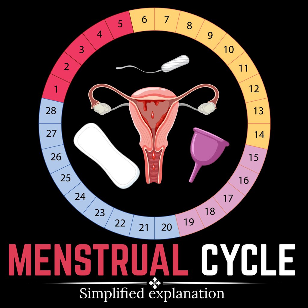 celebritypharm's tweet photo. Many women have been seeing their periods for 5, 10, even 20 years now…..

But if I asked you to explain your menstrual cycle: what happens before, during, and after your period, could you?

Don’t worry, most  people can’t.

Let's talk about MENSTRUAL CYCLE today https://t.co/CH22jmTkmb
