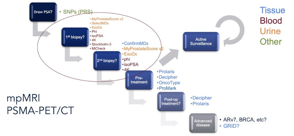 urotoday's tweet photo. Point-Counterpoint: đ§Ź Should molecular biomarkers encourage active surveillance in intermediate-risk prostate cancer?
@dr_coops @UCSFCancer at #USPCC26 says YESâfor the right patients.
Key points:
â
AS is already SOC for low-risk (GG1) disease; GG1 is an "incidentaloma" that rarely, if ever, metastasizes
â
Practice variation persistsâclinician preference still drives AS use despite guideline support
â
Intermediate-risk is heterogeneous: CAPRA (c-index ~0.76) + histologic features (cribriform, IDC, pattern 5) better stratify risk than NCCN buckets alone
â
Biomarkers add most value in borderline GG2/selected GG3 to support AS discussions; strongest data to date for Decipher GC
â
Emerging tools: Prolaris, @arteraAI, MPS2-AS urine assay, AI-pathology, liquid biopsies
Bottom line: AS decisions should be granular, individualized, and dynamic. Use biomarkers to reassure and select for AS in intermediate-riskânot to overtreat GG1.
Written coverage by @zklaassen_md @GACancerCenter. #ReadMore on UroToday > https://t.co/yZ7VsrfRFw @PCFnews @neerajaiims