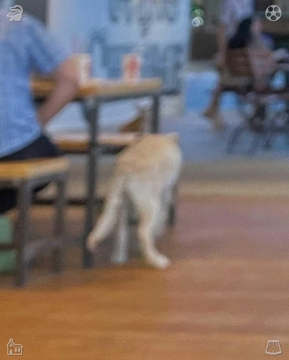 Blind_Pirates's tweet photo. Delicious cuisine stands as life's most tender blessing, where each mouthful delivers contentment and delight, filling me with optimism and warmth. Discover resilience even in the toughest moments. 🏹