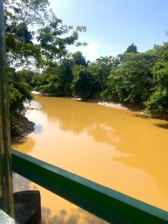 Bobthebuil19383's tweet photo. Ghanaian here! 

Galamsey has destroyed and continues to destroy Ghana’s rivers. As a result, many communities no longer have reliable access to clean, safe drinking water. The institution responsible for providing water to Ghanaians are struggling to treat and supply water because of the severe pollution caused by illegal mining.

Illegal mining is taking place right beside major roads, farms, schools, and other critical infrastructure, leaving behind environmental devastation and putting nearby communities at risk. It is not only contaminating our rivers with toxic chemicals such as mercury and cyanide, but it is also degrading farmlands, destroying biodiversity, and threatening the livelihoods of countless families. Fight against illegal mining in your country because it is destroying Ghana #StopGalamseyNow