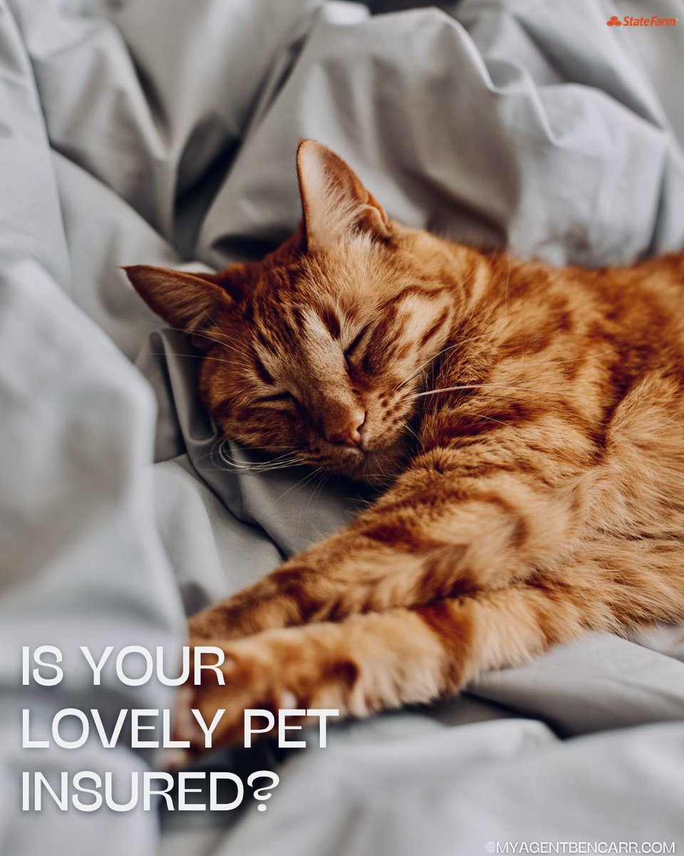 MyAgentBenCarr's tweet photo. 🐶🐕 Keep your furry friend healthy with State Farm Pet Insurance!
📞 Call 415-569-2277 to connect with a State Farm agent today.
#petinsurance #statefarm #bencarragency https://t.co/4Bx89HifI2