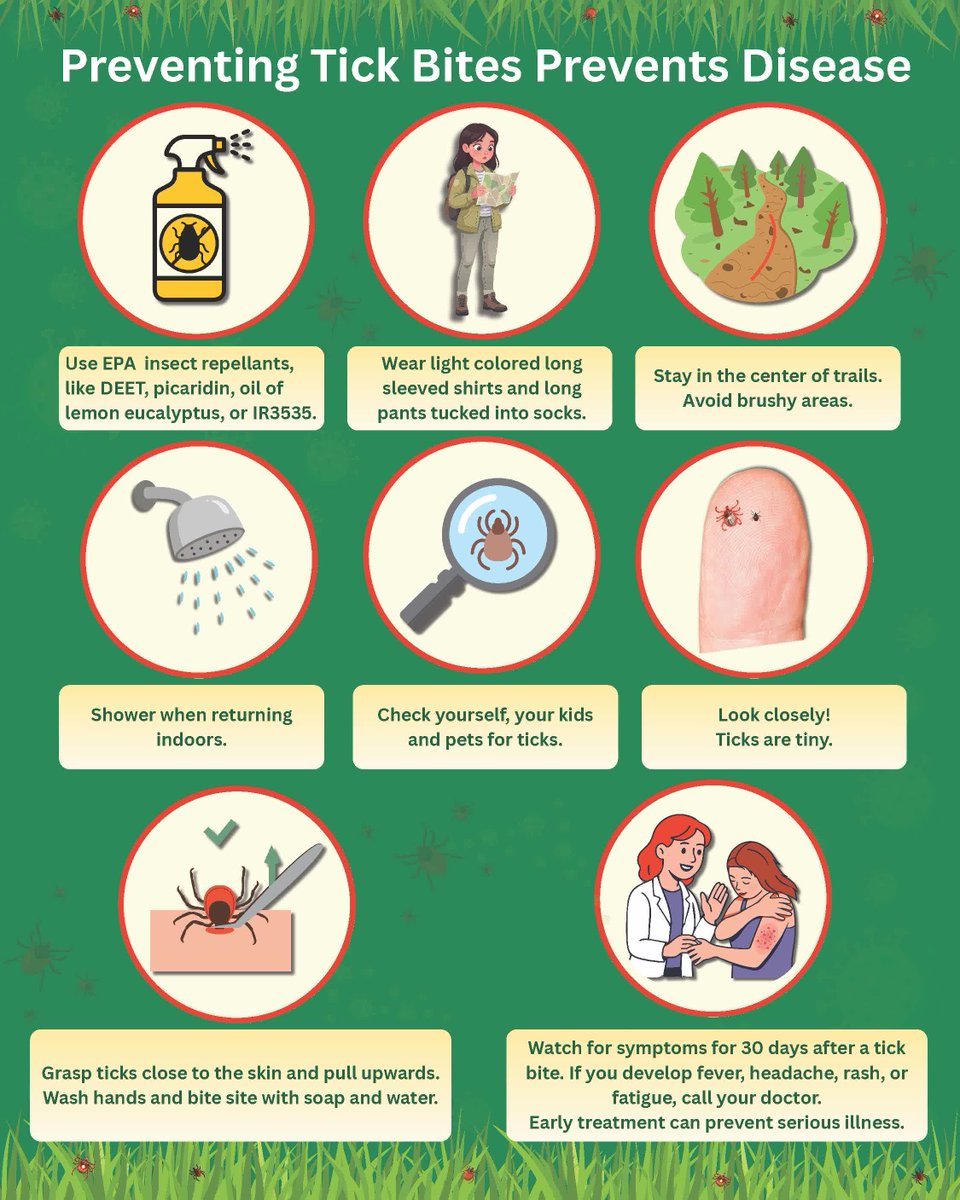 KDHE's tweet photo. Ticks are common in Kansas, and a natural part of the environment. If you spend time outdoors you will encounter ticks. Ticks can carry diseases that make people and animals sick.

🔗Ticks in Kansas here: https://t.co/SAl6RM2Bs2

#PreventTickBites #TickborneDiseases https://t.co/F5q2sLfPWL