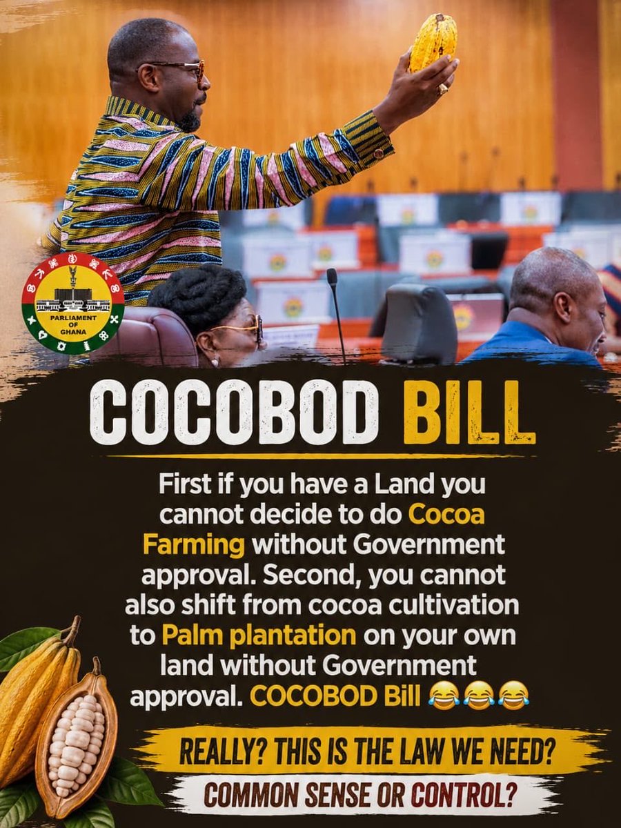 osibisa09's tweet photo. The New Cocoa Bill will kill the Cocoa sector to encourage Galamsey 🔥🔥 https://t.co/Ksa2wzhSTc