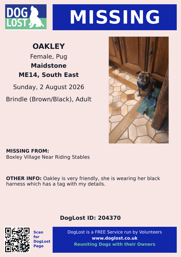 millypod1's tweet photo. 🆘2 AUG 2026 #Lost Oakley #ScanMe
Pug Female
Boxley Village Near Riding Stables #Boxley #Maidstone #Kent Boxley woods , Pilgrims Way #ME14
#M20
https://t.co/khdvADlemG https://t.co/IyIsoVH0Lf