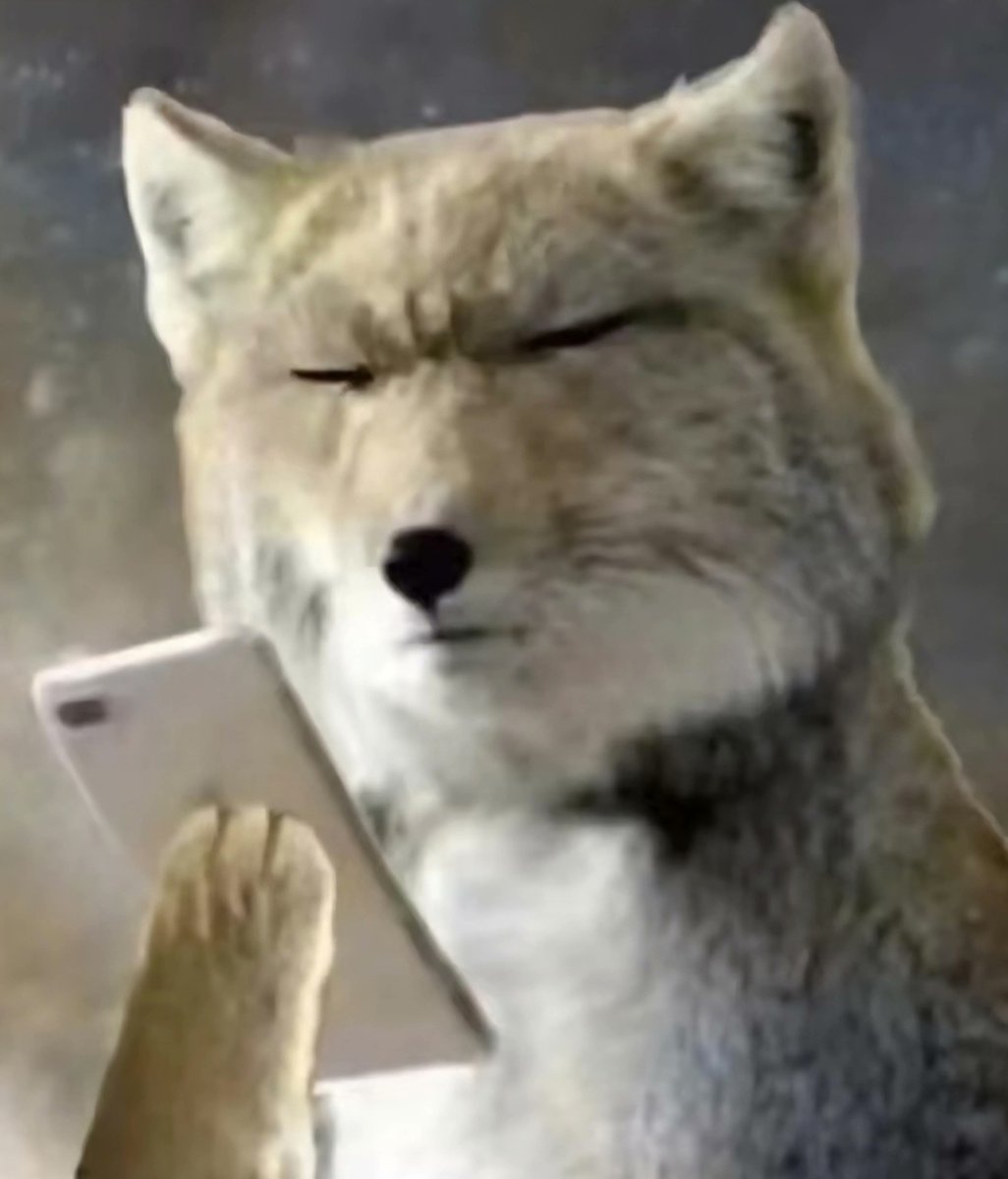 wamo fox tweet media